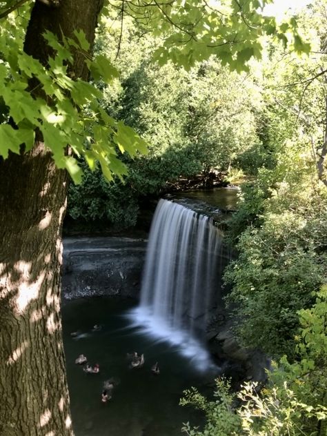 Manitoulin Island, Lake Huron, Business District, Green Bay, Ontario, Hiking Trails, Perfect Place, Small Towns, The Locals