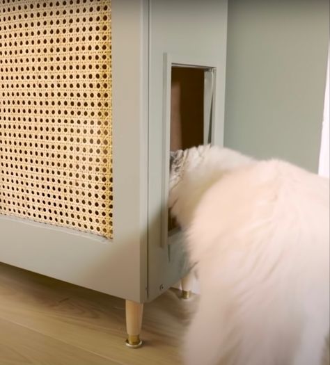 Diy Cat Litter Cabinet, Modern Litter Box Furniture, Cat Litter Cabinet Diy, Hiding Litter Box Ideas Diy, Corner Cat Litter Box Ideas, Litter Box Enclosure Ikea, Hide Cat Litter Box Diy Ikea Hacks, Covered Litter Box Diy, Litter Box Ikea Hack