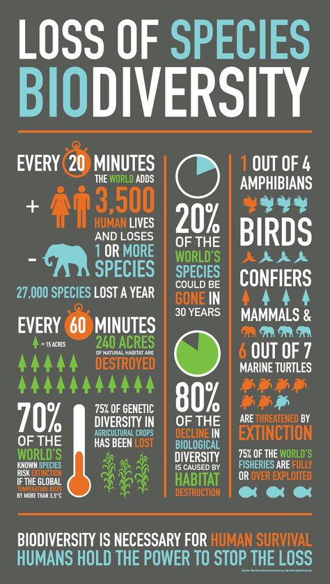 Celebrate the International Day for Biodiversity, take action! Loss of Biodiversity [Infographic] | ecogreenlove Save Our Earth, Infographic Design Inspiration, Environmental Education, Environmental Awareness, Charles Darwin, Environmental Issues, Environmental Science, Teaching Science, Save Earth