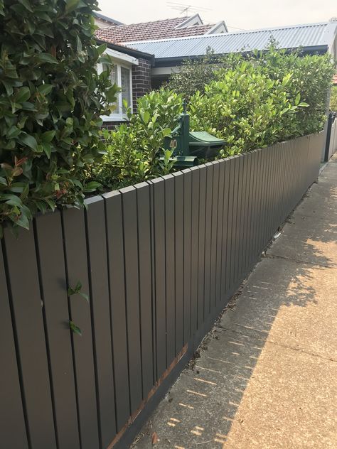 Front Fence Ideas Australia, Front Fence Ideas, Apartment Landscape, Front Fence, Fence Ideas, Straight Edge, Fencing, Botany, Front Yard