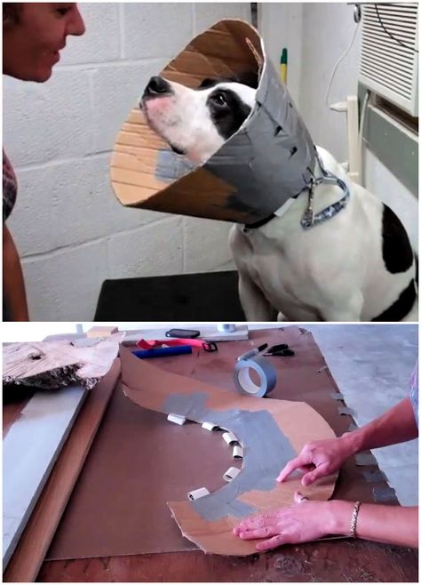 7 DIY Dog Cone Ideas That Are Easy to Make Pool Noodle Dog Cone Diy, Diy Dog Cone How To Make, Cone Alternative For Dogs Diy, Cone For Dogs Diy, Homemade Dog Cone Collar, Diy Dog Cone, Diy Dog Cone Alternatives, Homemade Dog Cone, Dog Cone Alternative