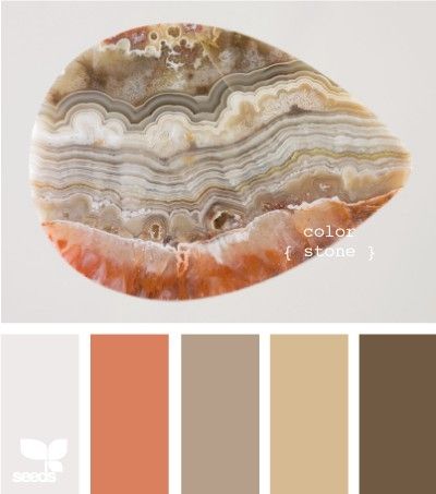 stone by Brenda Olmsted Cream Furniture, Palette Design, Color Palate, Theme Color, Design Seeds, Paint Schemes, Living Room Paint, Room Paint, Kitchen Colors