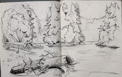 Life is Strange 2 sketchbook drawings Life Is Strange 2 Sean, Life Is Strange 2, Life Is Strange 3, Travel Art Kit, Flower Guide, Sketchbook Drawings, Landscape Drawings, Sketchbook Inspiration, Life Is Strange