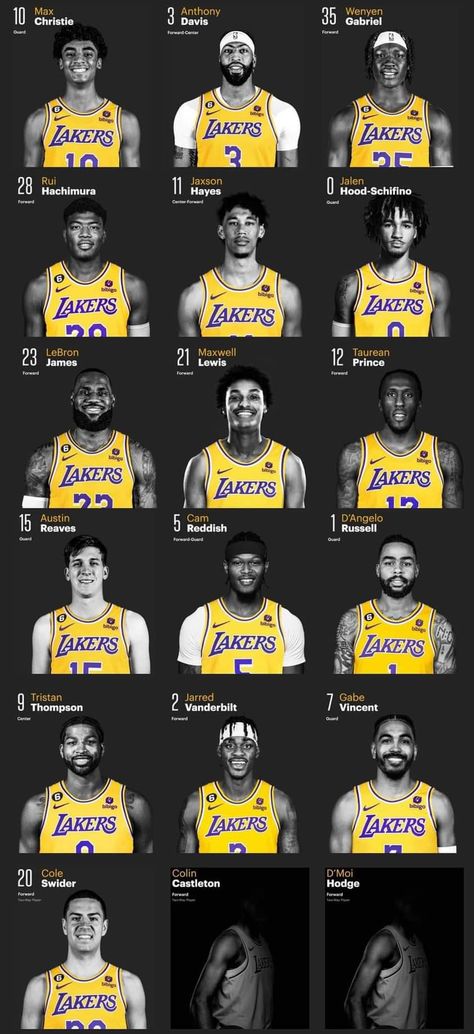 Los Angeles Lakers Wallpapers, Cool Basketball Pictures, Antony Joshua, Lakers Wallpaper, Cool Basketball Wallpapers, King Lebron James, Best Nba Players, King Lebron, Nba Basketball Art