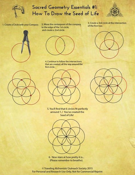 Draw Sacred Geometry, How To Draw Sacred Geometry, The Seed Of Life, Scared Geometry, Sacred Geometry Patterns, Sacred Geometry Symbols, Sacred Geometric, Sacred Geometry Art, Geometric Drawing