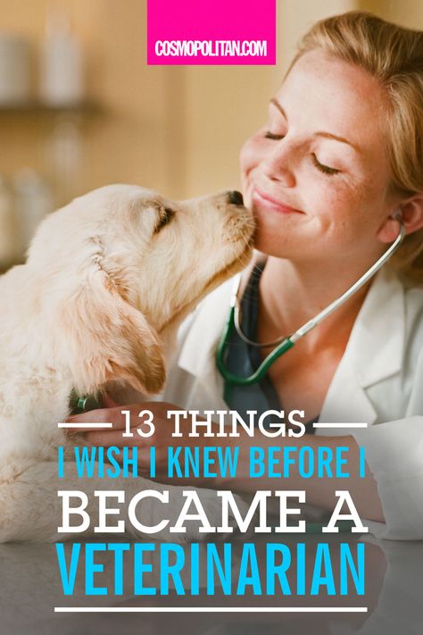 What I Wish I Knew Before I Became a Veterinarian - How to Become a Vet Veterinarian Career, Veterinarian School, Dream Company, Early Adulthood, Vet Tech School, Becoming A Veterinarian, Vet Life, Dj Tanner, Being Smart