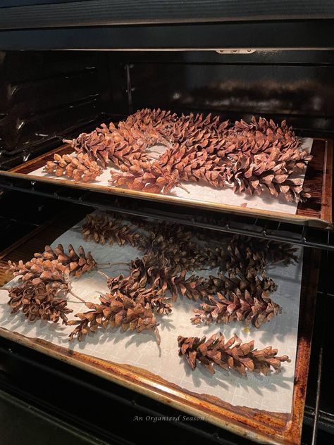 How to Preserve Pine Cones for Indoor Use - An Organized Season