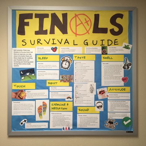 Finals Survival Guide bulletin board Finals Week Bulletin Board, Exam Bulletin Board Ideas, Ra Finals Bulletin Board, Finals Ra Bulletin Board, Fall Ra Bulletin Boards, Finals Bulletin Board, Residence Life Bulletin Boards, Ra College, Ra Inspiration