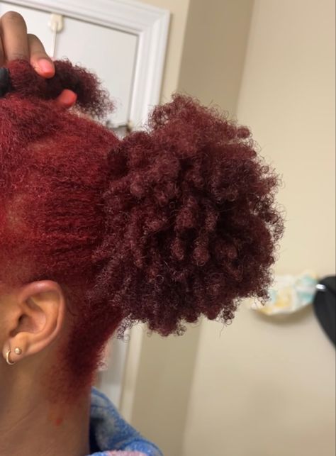 Maroon Hair Color On Black Women, Maroon Hair Dye Black Women, Maroon Tinted Hair, Burgundy Hair Dye On Black Women, Maroon Natural Hair Black Women, Burgundy Dyed Hair Black Women, Wine Dyed Natural Hair, Red Hair On Black Women Natural, Burgundy Hair Black Women Natural 4c