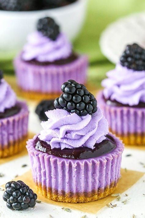 Blackberry Topping, Minty Desserts, Lavender Cheesecake, Lavender Dessert, Blackberry Lavender, Blackberry Dessert, Lavender Cupcakes, Cheesecake Bites Recipe, Mini Cheesecake Recipes