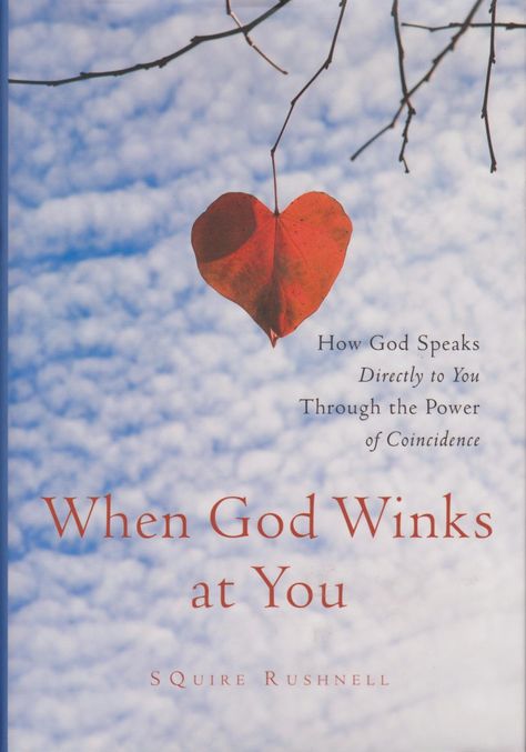 When God Winks at You, S. Quire Rushnell God Winks, Inspirational Readings, Daily Grace, Healing Books, The Great I Am, Give Me Jesus, Twist Of Fate, The Messenger, Walk By Faith