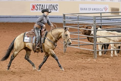 What to Wear in AQHA Ranch Horse Classes - AQHA Ranch Horse Show, Ranch Versatility, Aqha Western Pleasure, 6666 Ranch, Hunter Under Saddle, Working Cow Horse, Aqha Horses, Ranch Riding, Ranch Horse