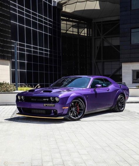 Doge Challenger, Dodge Challenger Hellcat, Dodge Muscle Cars, Hellcat Challenger, Lincoln Cars, Dodge Challenger Srt, Car Wallpaper, Exotic Sports Cars, Chrysler Jeep