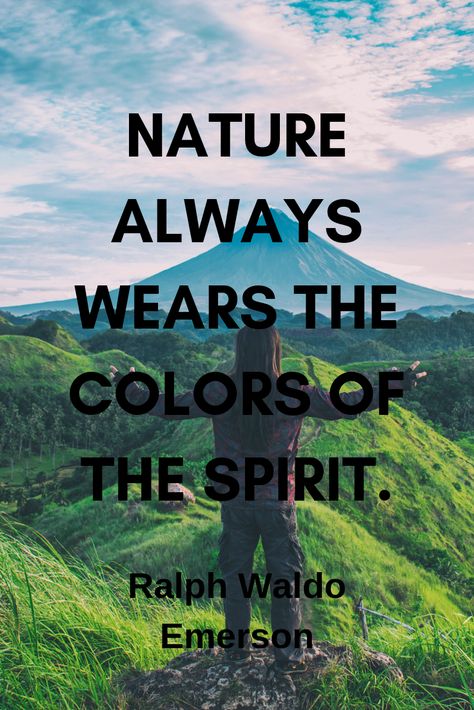 Inspirational quotes and sayings about nature that best describe our beautiful nature. #quotes #naturequotes #naturephography #nature #MotherEarth #beauty #travels Sayings About Nature, Quote About Nature, Nature Quotes Beautiful, Modern Henna, Modern Henna Designs, Zen Quotes, About Nature, Adventure Quotes, Nature Quotes