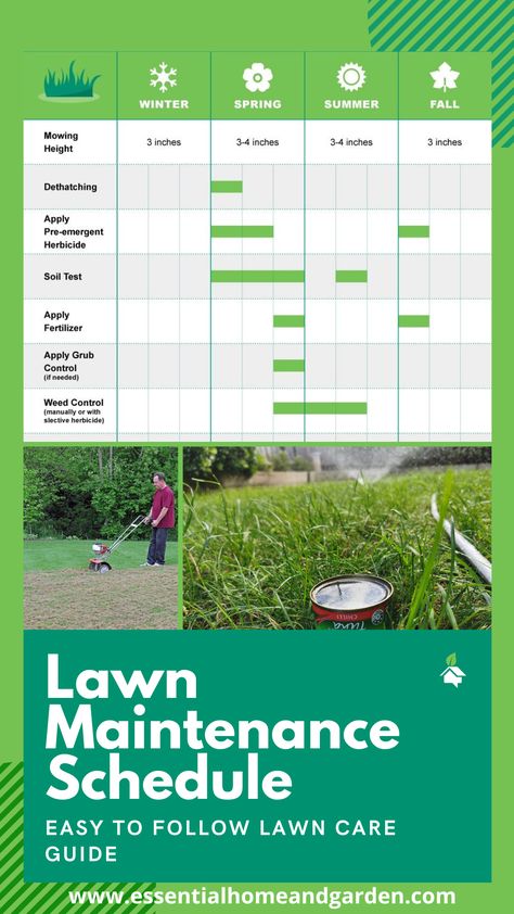 A snippet of a lawn maintenance schedule and a man dethatching and a sprinkler watering the lawn Lawn Maintenance Schedule, Dethatching Lawn, Lawn Care Schedule, Terrace Garden Ideas, Lawn Care Business, Yard Maintenance, Garden Layout Vegetable, Lawn Fertilizer, Terrace Decor