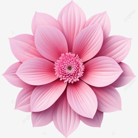 realistic beautiful pink flowers illustration element flowers png Png Flowers Design, Pink Flower Illustration, Pink Flower Png, Flower Png Transparent, Flower Clip Art, Single Flowers, Flower Png Images, Flower Pattern Drawing, Element Illustration