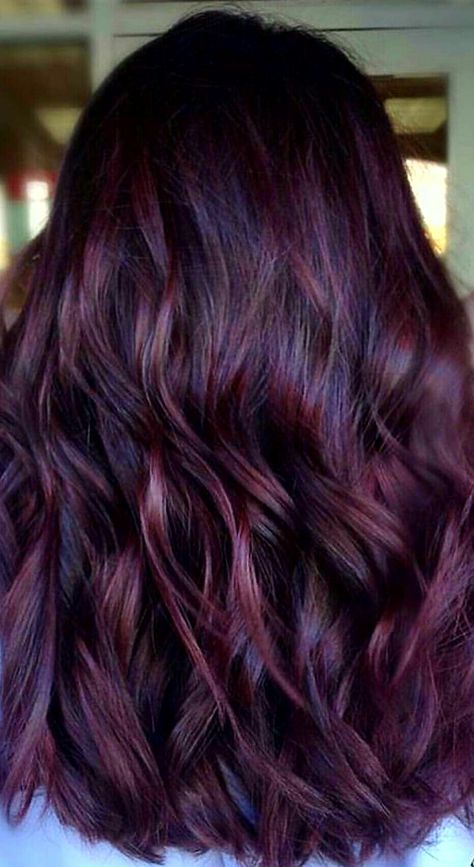 @themisfitblonde Fun Hair Color Ideas For Brunettes Fall, Pelo Color Borgoña, Pelo Color Vino, Wine Hair, Violet Hair, Hair Color Burgundy, Dark Red Hair, Raven Queen, Hair 2024