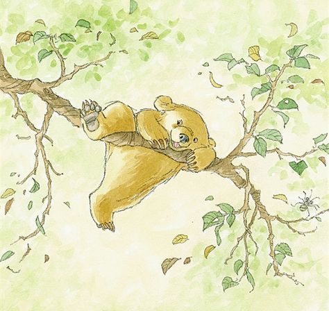 Bear Drawing, 강아지 그림, Bear Illustration, Little Bear, Bear Art, Childrens Illustrations, Children's Book Illustration, A Drawing, Book Illustration