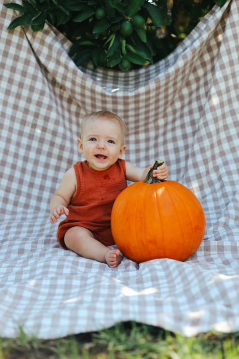 Baby In A Pumpkin Photoshoot, Pumpkin Photoshoot Kids, Pumpkin Kids Photoshoot, Pumpkin Patch 1st Birthday Photoshoot, Fall Pictures Toddler, November First Birthday Photoshoot, Fall Photo Ideas For Toddlers, Baby Pumpkin Patch Photoshoot, Fall Toddler Photoshoot Ideas