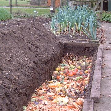 Compost Kitchen, Small City Garden, Compost Bins, Mint Plants, Yard Waste, Fertilizer For Plants, Veg Garden, Organic Garden, Master Gardener