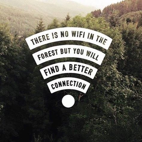 There's no wifi in the forest but.... Wood Inspiration, Stay Strong Quotes, Camping Quotes, Adventure Quotes, Sassy Quotes, Nature Quotes, In The Forest, Empowering Quotes, Instagram Captions