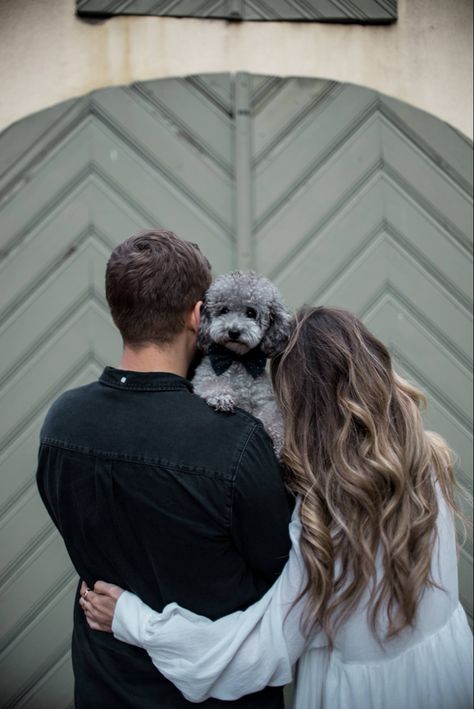 Pre Wedding Photoshoot With Dog, Dog Wedding Photoshoot, Toy Poodle Photoshoot, Dog Photoshoot Ideas With Owner At Home, Pet Family Portrait, Studio Photoshoot With Dog, Prewedding Dog, Prewedding With Dog, Couple Shoot With Dog