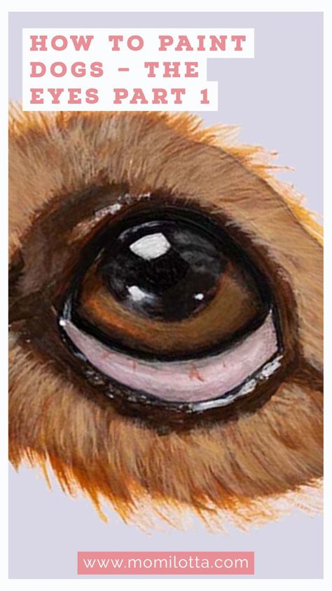 This post is the first in a series about how I paint dogs. It is just a guide to help you on your artistic path. It is not intended to be the definitive guide. It is, from my experience, what I have learned these years. and several things to consider before painting them. In this first part, we will see the part of the eye and several things to consider before painting them. Dogs Eyes Painting, Acrylic Painting Dogs Pet Portraits, How To Paint Dog Eyes Acrylic, Animal Eyes Painting, How To Paint Dogs Eyes, Dog Eyes Painting, Painting Dog Eyes, How To Paint Dogs Acrylic, Painting Dogs Acrylic