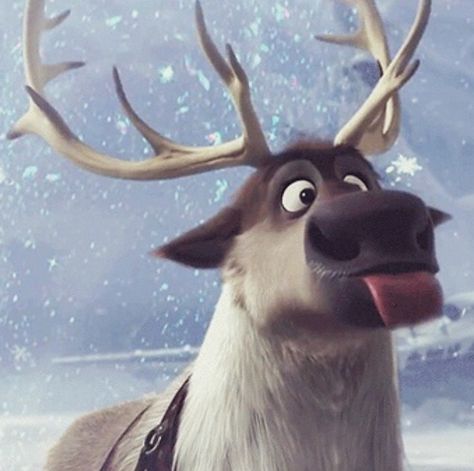 Christmas Raindeer, Sven Frozen, Frozen Photos, Frozen Wallpaper, Disney Cuties, Frozen Characters, Cute Disney Pictures, Film Disney, Disney Princess Pictures