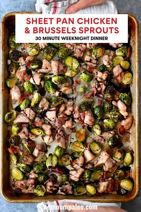 Dinner With Brussel Sprouts, Brussels Sprouts Dinner, Low Carb Sheet Pan, Paleo Chicken Thighs, Chicken And Brussels Sprouts, Chicken Brussel Sprouts, Balsamic Brussel Sprouts, Shaved Brussel Sprouts, Dinner Paleo