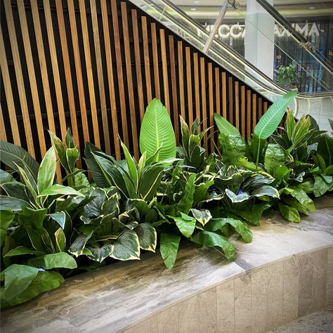 Foyer Plants Entrance, Hotel Bar Design, Indoor Planter Box, Planter Box Designs, Exterior Home Renovation, Office Foyer, Apartment Balcony Garden, Building Entrance, Artificial Greenery