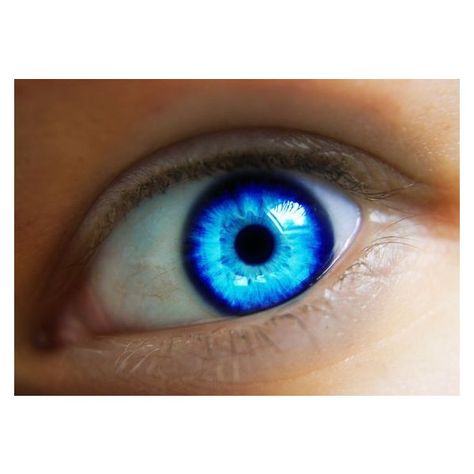 Related image with Bright Blue Eyes ❤ liked on Polyvore featuring beauty products, skincare, eye care and eyes Blue Eye Color, Beautiful Eyes Color, Bright Blue Eyes, Eyes Artwork, Beautiful Blue Eyes, Crazy Eyes, Aesthetic Eyes, Blue Pin, Blue Eye