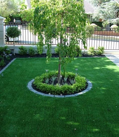 Trees For Front Yard, Landscaping Around Trees, Small Front Gardens, Front Gardens, Front Garden Landscape, Small Front Yard Landscaping, Front Garden Design, Front Yard Design, Front Yard Garden Design