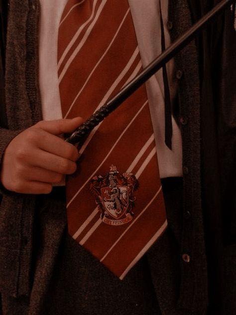 Gryffindor Aesthetic, Harry Potter Wall, Harry Potter Stories, Oliver Wood, Harry Potter Icons, Harry Potter Images, Harry Potter Houses, Hogwarts Aesthetic, Harry James