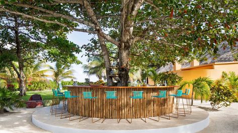 REEF AND RAINFOREST | Matachica Resort Belize Forest Bar, Tree Bar, Belize Resorts, Outdoor Restaurant Design, Tree House Plans, Tree Table, Resort And Spa, Resort Villa, Outdoor Restaurant