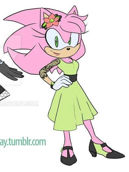 Aurora the hedgehog Sonic Boom Amy, Funny Sonic, Sonic Collection, Aurora Rose, Sonic And Amy, Sonic Funny, Disney Princess Drawings, Sonic Fan Characters, Crash Bandicoot