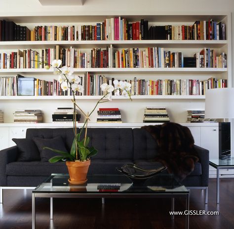 Low Bookcase Behind Sofa, Floating Bookshelves Above Couch, Shelving Over Couch, Library Above Sofa, Book Shelf Behind Sofa, Book Shelf Behind Couch, Couch With Shelf Above, Sofa With Shelves Above, Book Case Behind Couch