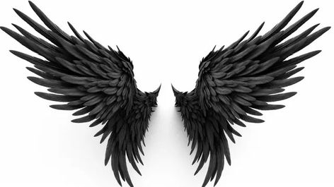 3d illustration demon wings,black wing plumage isolated on white background,hd photography photo,angel wings,feather,wings,fantasy,freedom,angel,black,dark,devil wings,wing,white wings,angel background,devil,fantasy background,feather background,fluffy,fly,black white,dark background Dark Wings Aesthetic, Demon With Wings, Soulmate Tattoos, Angel Background, Guy Denning, Dark Devil, Dark Angel Wings, White Background Hd, Devil Wings