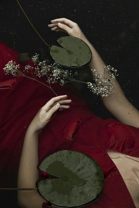 Foto Art, Dark Photography, Underwater Photography, Red Aesthetic, Photography Inspo, Lily Pads, Dark Aesthetic, Book Covers, Hands On