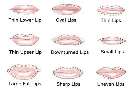 Gemily Barbon Makeup: Perfect Lips: how to draw right shape! How To Draw Lipstick, Types Of Lips Shape, Natural Lip Stain, Lips Shape, Makeup Moisturizer, Draw Lips, Lip Types, Lipstick For Fair Skin, Fuller Lips