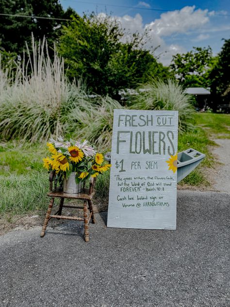 Sunflowers in a big old tin can sitting on a small wooden chair. Next to it is a fresh flower sign. The sign reads “fresh cut flowers $1 per stem The grass withers, the flowers fade, but the Word of God is forever - Isaiah 40:8” Farm Stand Signs Diy, Cash Box For Farm Stand, Fresh Flower Sign, Fresh Cut Flowers Sign, Small Flower Stand, Road Side Flower Stand, Flower Stand Sign, Roadside Stand Ideas, Cut Flower Stand