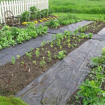 Using Weed Fabric: Gardener's Supply Small Urban Garden, Garden Site, Small Vegetable Gardens, Weed Barrier, Garden Fabric, Garden Weeds, A Broom, Cut Flower Garden, Home Garden Design