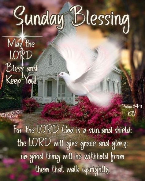 May the lord bless and keep you - Sunday Blessing quotes sunday sunday quotes sunday blessings morning nights days sunday quotes and sayings sunday blessing quotes sunday quotes 2022 sunday images with quotes 2022 sunday pictures with quotes in 2022 sunday blessings 2022 Sunday Greetings Blessing, Sunday Blessings Inspiration, Blessed Sunday Quotes, Quotes Sunday, Blessing Quotes, Sunday Pictures, Sunday Greetings, Sunday Blessings, Peace Scripture