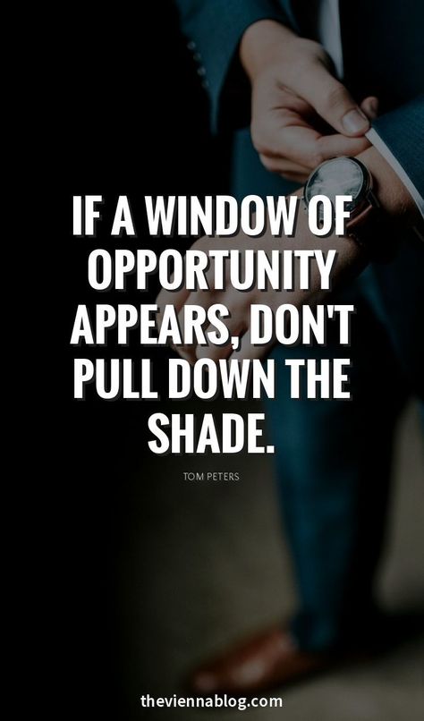 Opportunity Quotes, Quote Success, Deep Meaningful Quotes, 50th Quote, Business Inspiration Quotes, Business Motivational Quotes, Never Stop Dreaming, Motivation Success, Motivational Quotes For Success