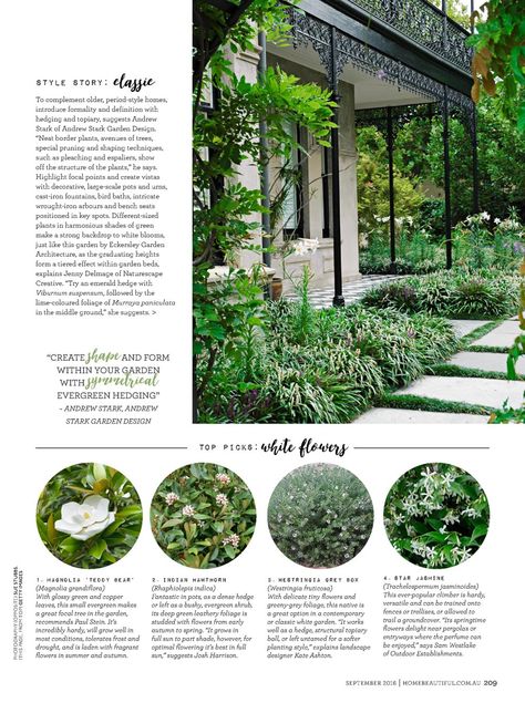 Top white flowing plants for a classic or formal garden Hampton Garden, Zoysia Grass, Formal Garden Design, The September Issue, Formal Garden, Border Plants, Green Backdrops, Classic Garden, Native Garden