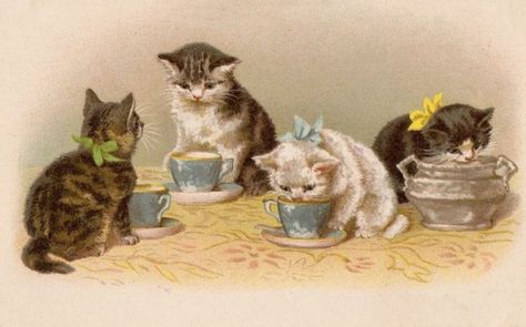 Tea with Kittens Vintage Cat Art, Cat Tea Party, Kittens Vintage, Tea Party Invitations, Vintage Cats, Cat Illustrations, Cat Drinking, Cats In Art, Cat Cards