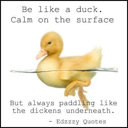 Duck Quotes, Text Ideas, Growth Mindset Posters, Quotes By Authors, Good Thoughts, Famous Quotes, Growth Mindset, Ducks, Authors