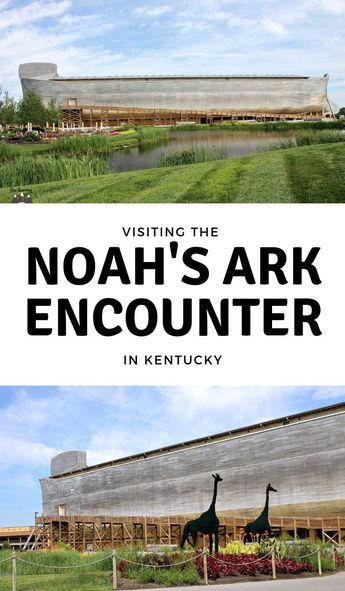 Ark Encounter Kentucky, Williamstown Kentucky, Kentucky Attractions, Kentucky Vacation, The Ark Encounter, Kentucky Travel, Zoo Park, Keeping Busy, Family Travel Destinations