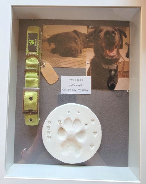 Releasing his Ashes Pet Memorial Ideas Dogs, Loss Of Pet Gift, Dog Shadow Box, Loss Of Pet, Pet Keepsake, Pet Sympathy Gifts, Pet Sympathy, Dog Crafts, Cat Memorial