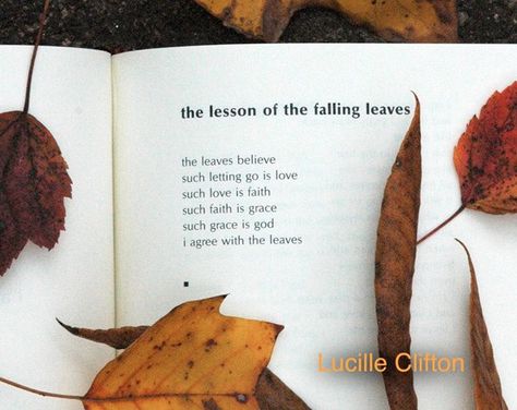 Lucille Clifton's lesson of the falling leaves Falling Leaves Quotes, Lucille Clifton, Leaf Quotes, Circle Clipart, Fall Classroom, Helpful Hacks, Poetic Justice, Stay Alive, Bts Tweet