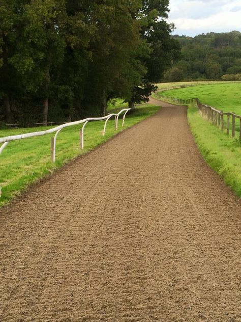 Would love to have a track someday! :) Gallop Track, Horse Track System, Equestrian Stables, Paddock Paradise, Horse Arena, Horse Facility, Horse Barn Ideas Stables, Dream Stables, Horse Barn Designs